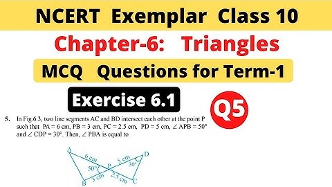 NCERT Exemplar | Class 10 Maths | Chapter 6 Triangles | Exercise 6.1 | Question 5 | MCQ Term 1