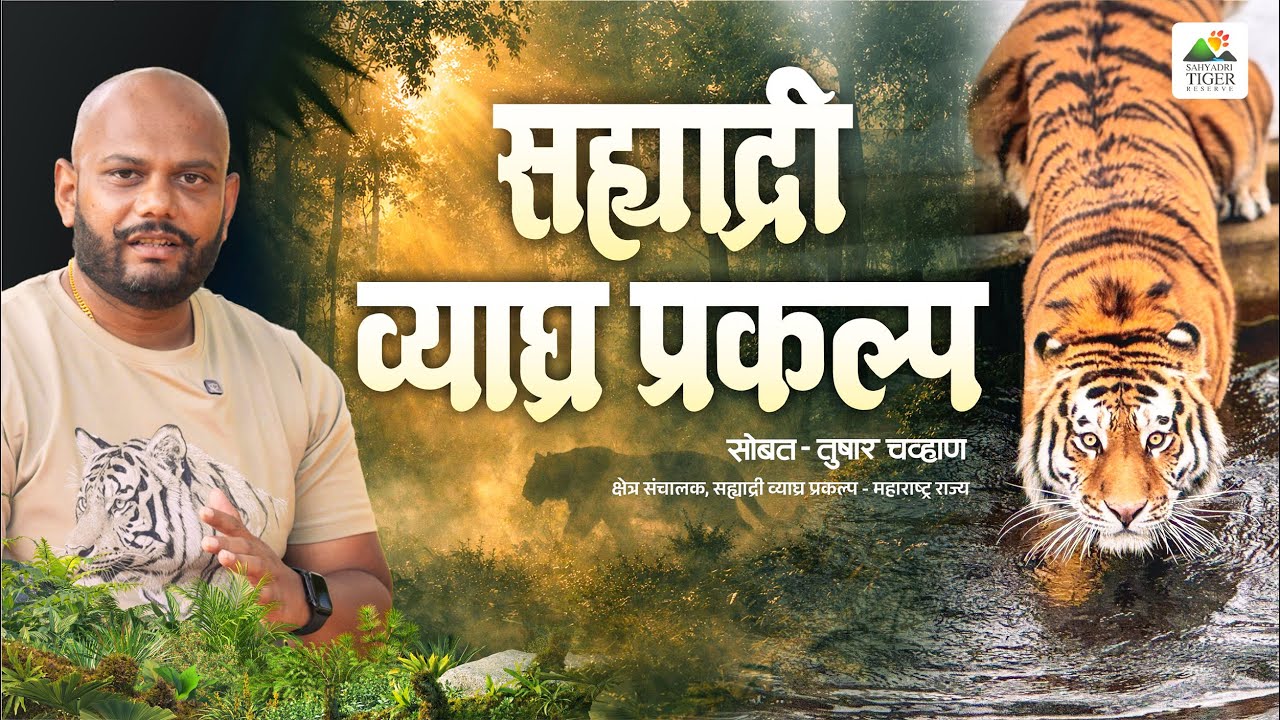 Sahyadri Tiger Reserve | STR | Ft. Tushar Chavan