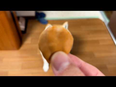 ベビーカステラと柴犬の丸頭で皆既日食してみると・・・