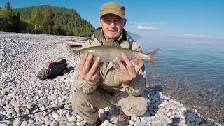 видео: Хариус как из пулемета ! Супер рыбалка ! картинка: Хариус как из пулемета ! Супер рыбалка !