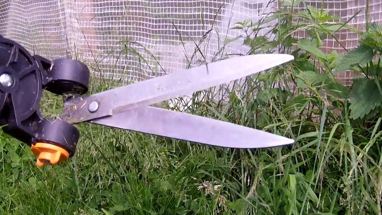 Cisaille à bush herbe topiaire coupage shaping trim coupe bordure et parage 