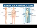 Anatomical Terms, Body Planes, Directional and Regional Terms, Explained in Hindi