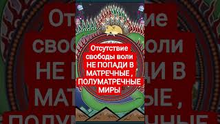 карма человека #выходизматрицы #освобождение #сансара #шортс  #саморазвитие