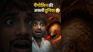Pangolin की Secret Underground World | Real POV Camera Footage 😱