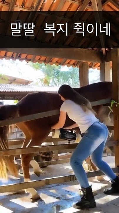 말딸 handjob for a horse#shorts