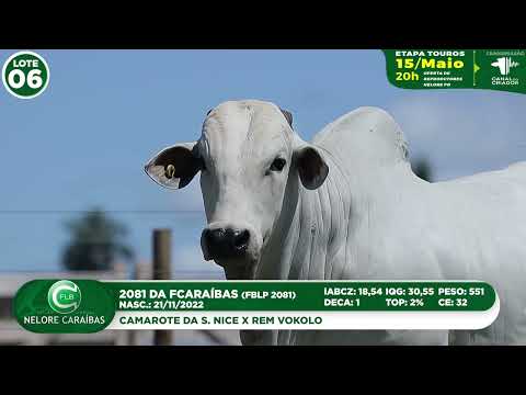 LOTE 06   FBLP 2081