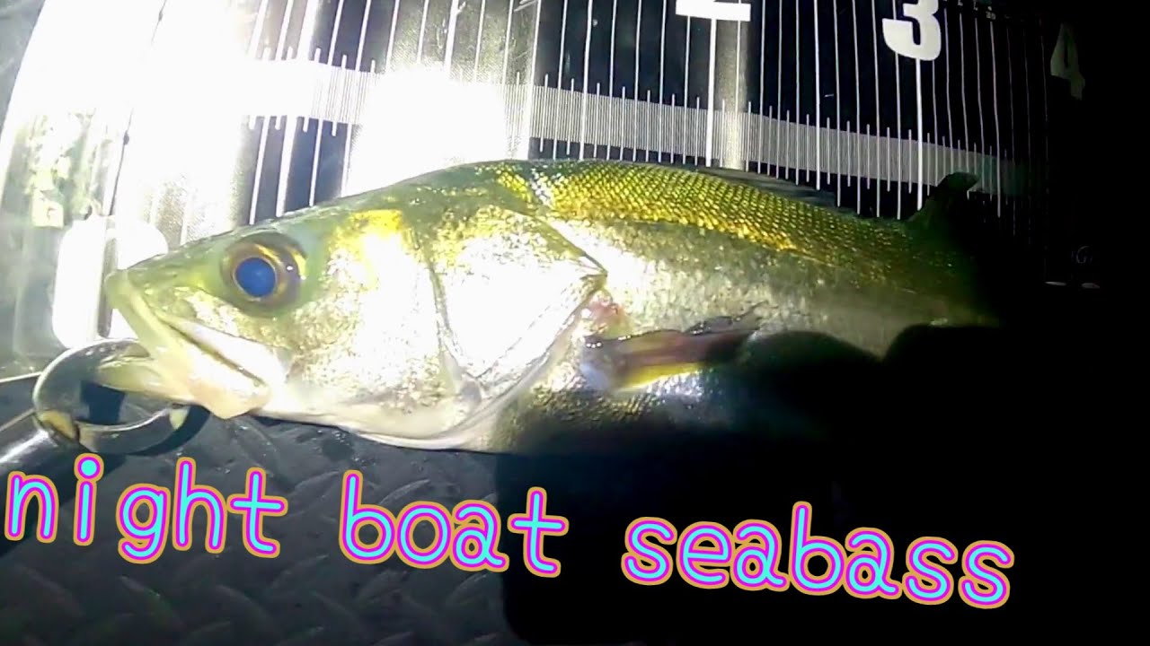 超簡単 100均のハサミ１つで魚の下処理できちゃいます Youtube