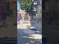 У центрі Тернополя продовжують роботи з облаштування безбарʼєрного маршруту