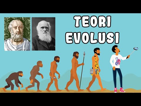 Video: Adakah evolusiisme satu perkataan?