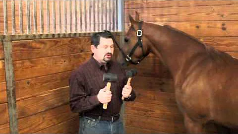 What To Avoid In An Equine Chiropractor by Mark DePaolo, DVM