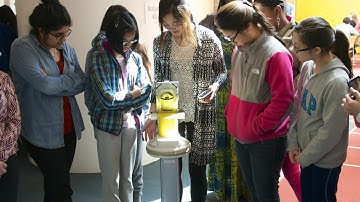 STEM Mentoring robotics workshop