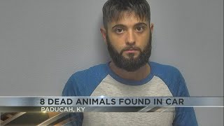Paducah man arrested after eight deceased animals found in vehicle, pet cremation services