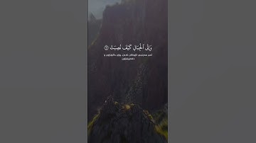أَفَلَا يَنظُرُونَ إِلَى ٱلۡإِبِلِ كَيۡفَ خُلِقَتۡ وَإِلَى ٱلسَّمَآءِ كَيۡفَ رُفِعَتۡ #سورة_الغاشية