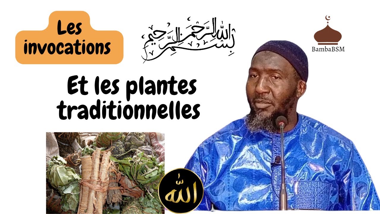 Les invocations et les plantes traditionnelles Almamy Baradji