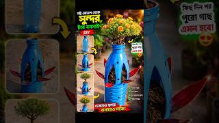 বনসায়+Diy pot 😱😱waste material reuse😨😳#viralvideo #youtubeshorts #shortfeed
