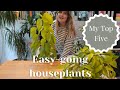 My Top 5 EASY-CARE houseplants 🌿 Plants that want to thrive!