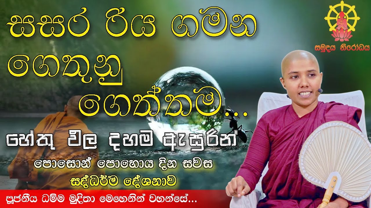 හේතුං පටිච්‌ච සම්‌භූතං හේතුභංගා නිරුජ්‌ඣති  | පූජනීය ධම්ම මුදිතා මෙහෙණින් වහන්සේ | 2025 - 06 - 10 pm