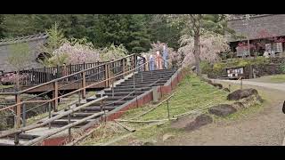 гора Фудзияма 2024 апрель обзор/Mount Fuji 2024 April review #japan #travel #fuji #япония #фудзияма