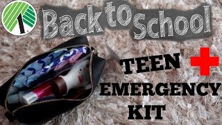 BACK TO SCHOOL EMERGENCY KIT 2019 /DOLLAR TREE ITEMS