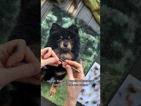 Как сфотографировать питомца для портрета? #шпиц #собака