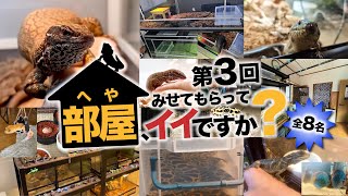 DEZERT 「変」「飼育部屋」 DEZERT 「変」「飼育部屋」 飼育部屋 / Shiiku beya - YouTube