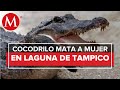 Cocodrilo que mató a mujer en la Laguna del Carpintero será reubicado