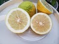 Лимон Пандероза Лимон Юбилейный