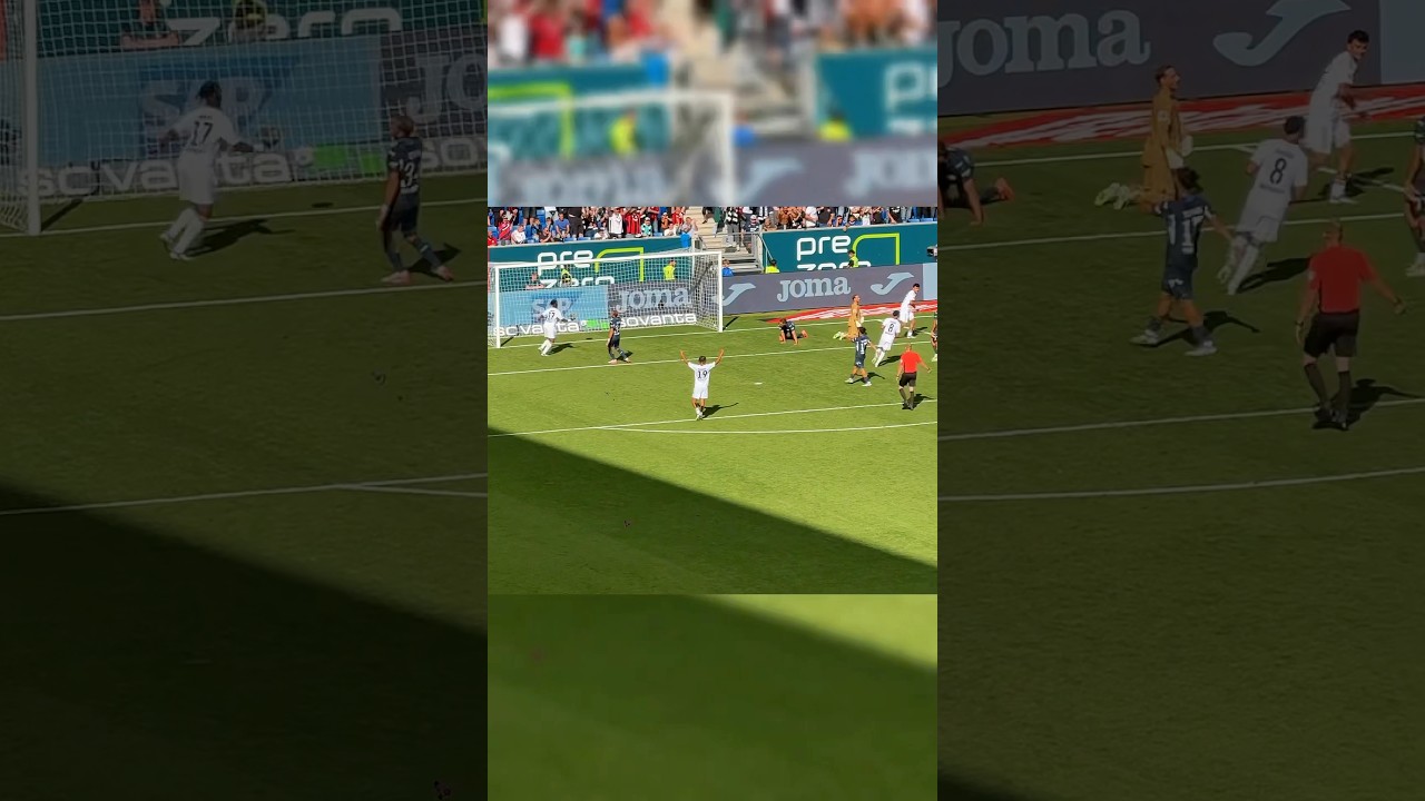 Hoffenheim vs. Eintracht Frankfurt 0:3