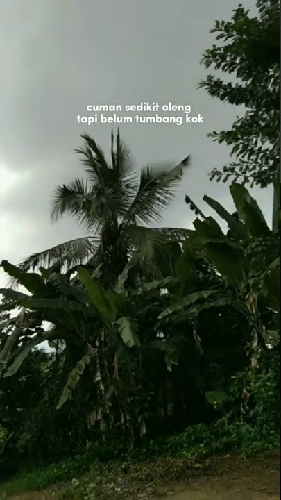 kumpulan story wa Kece