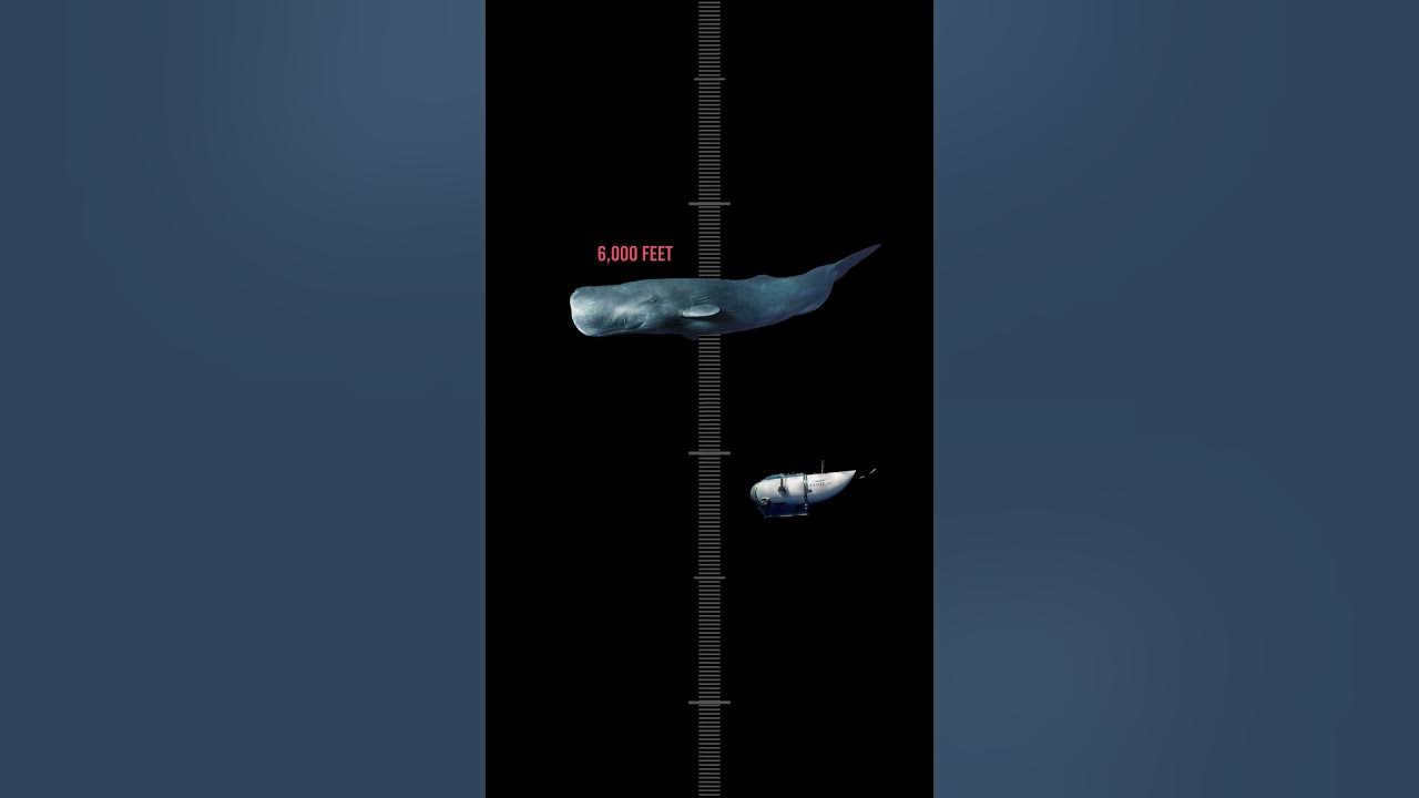 How DEEP is Titanic?