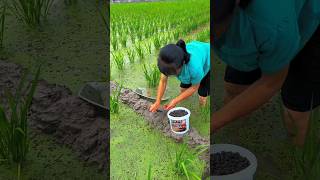 Smartest Fishing Trick Ever