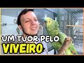 UM TUOR PELO VIVEIRO DAS AVES