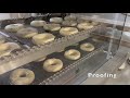 Automatic Yeast Donut Machine