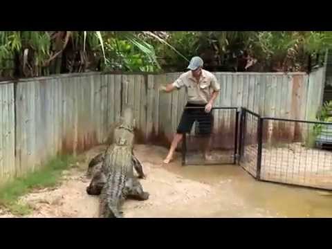 Hartley's Crocodile Adventure, Cairns, Australia