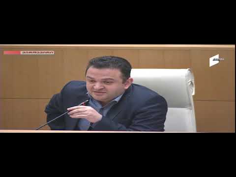 პარლამენტში ირაკლი კობახიძემ გედევან ფოფხაძეს მიკროფონი გამოურთო