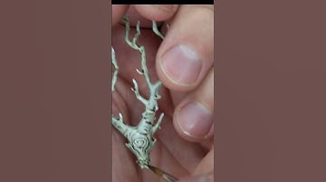 How to paint a Birch Tree Sylvaneth, very easy.#minipainting #sylvaneth #warhammer #ageofsigmar