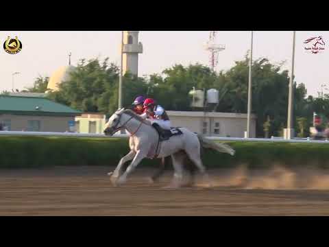 مهرجان سباق قبيلة عتيبة 3 الشوط 2 الجواد امير دي كارير المالك عزام العصيمي