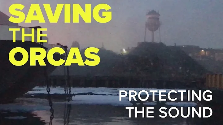 Saving the Orcas: Protecting the Sound