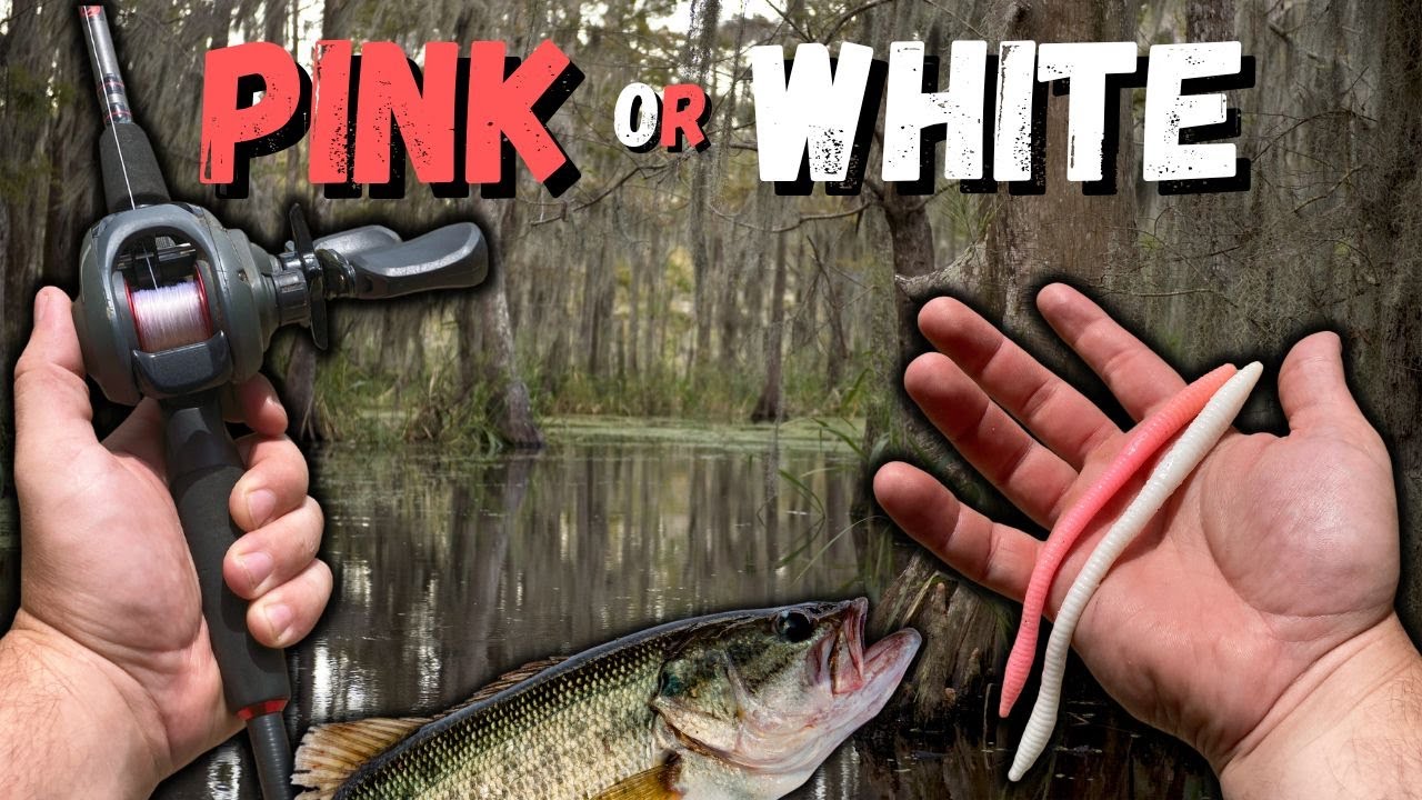 BEST BAIT for Georgia River BassPINK or WHITE? {15 Catches} 