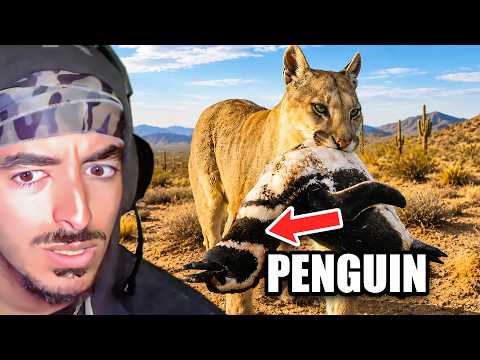 The Craziest Animal Crossovers That Make NO SENSE