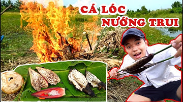 Chí Nguyễn #SĂN_BẮT_HÁI_NỢM2 [[[CÁ LÓC NƯỚNG TRUI]]] - MÓN NGON DÂN DÃ MIỀN TÂY