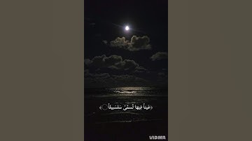 عينا فيها تسمى سلسبيلا | محمد اللحيدان| سورة الإنسان #قرآن #محمد_اللحيدان #سورة_الانسان