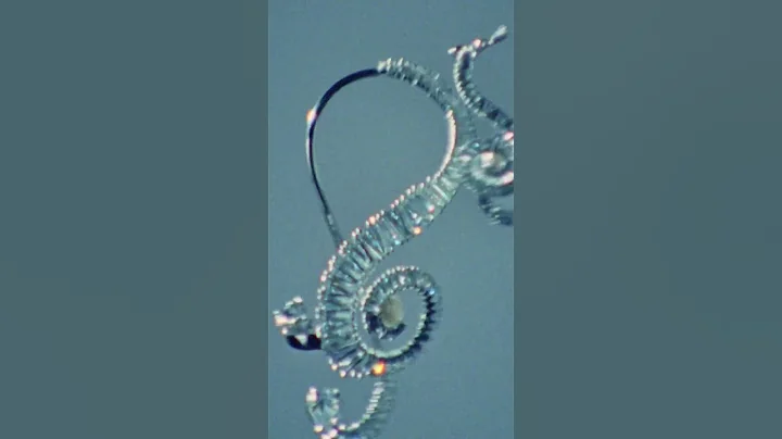 Ariana Grande X Swarovski Capsule Collection Unveiled