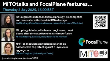 MITOtalks and FocalPlane features