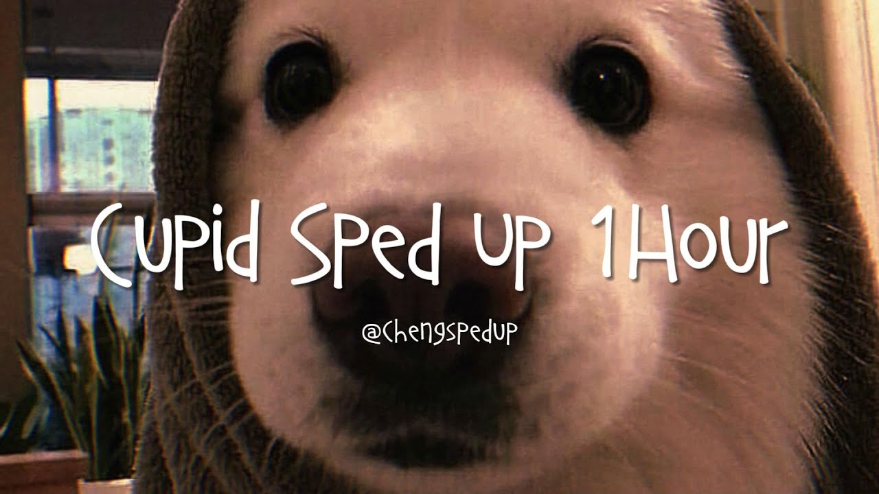 cupid sped up 1 hour YouTube Music