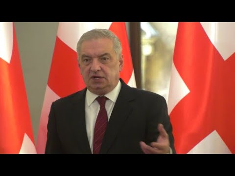 „სააკაშვილი თვითგვემას აწარმოებს მაინცდამაინც გერმანიაში ან სხვაგან  უნდა იყოს, რომ წამალი დალიოს“?