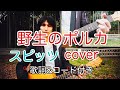 野生のポルカ スピッツ(spitz)【歌詞・コード付き】 弾き語り