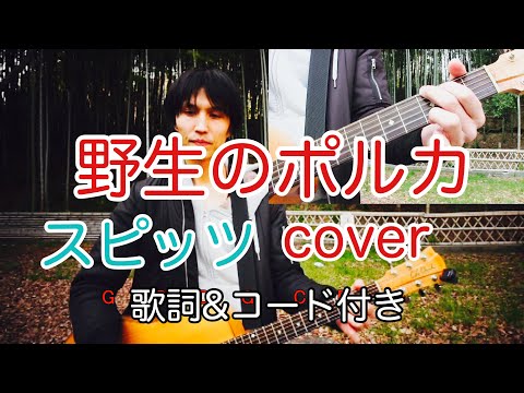 野生のポルカ　スピッツ（spitz）【歌詞・コード付き】　弾き語り