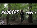 BADGERS | A Wildlife Vlog - Part 1