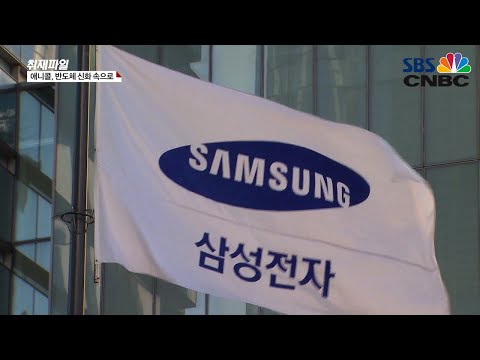 [故 이건희 회장 이후, 삼성 어디로?] 애니콜, 반도체 신화 속으로